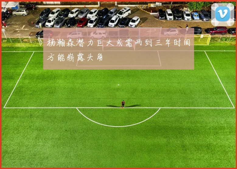 杨瀚森潜力巨大或需两到三年时间方能崭露头角